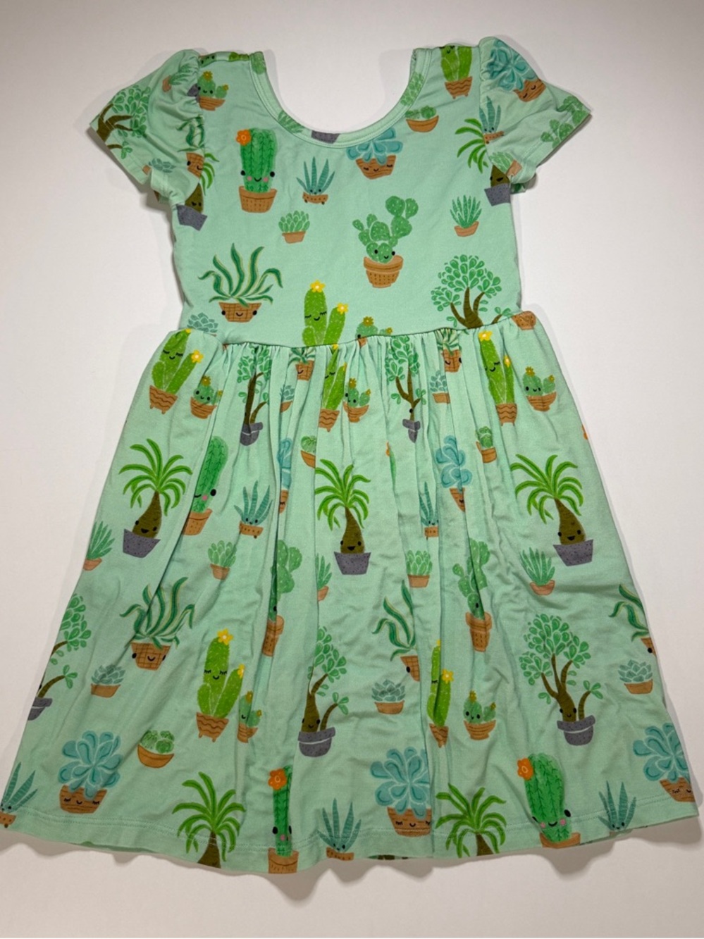 Little Sleepies PLAY 4T Cactus Succulent Bamboo Twirl Dress Soluxe
